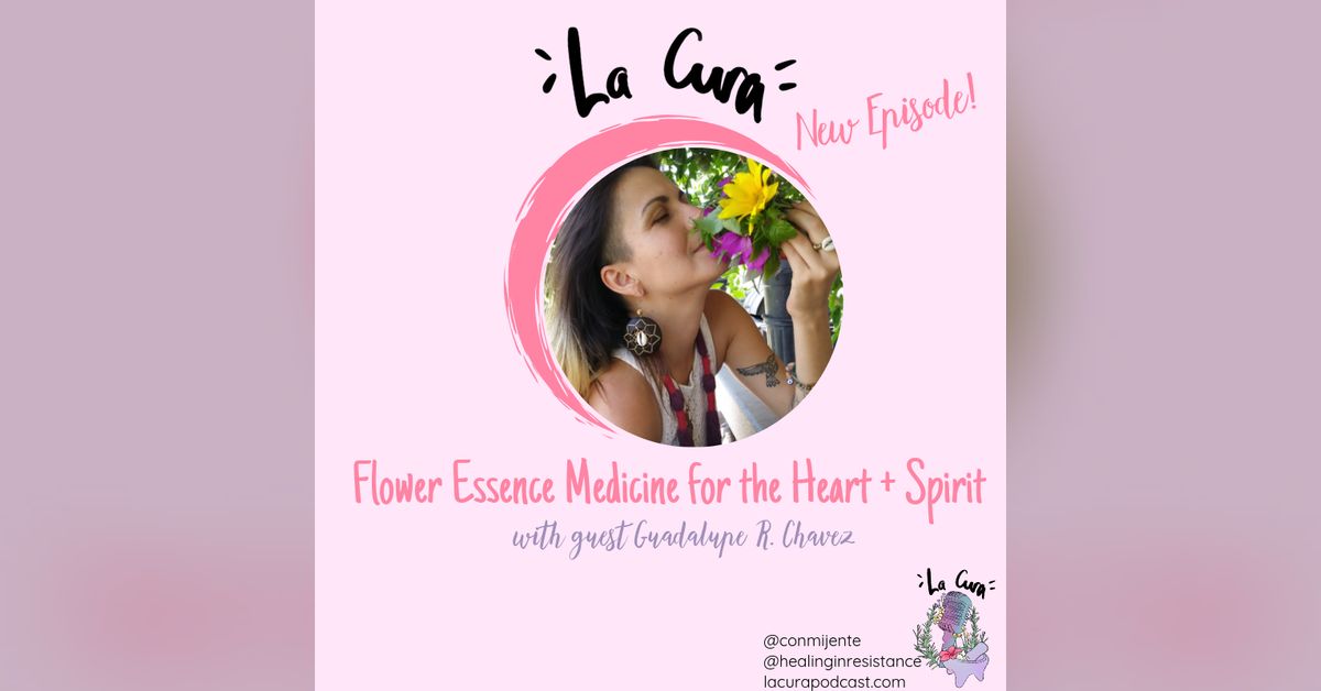 Flower Essence Medicine for the Heart and the Spirit
