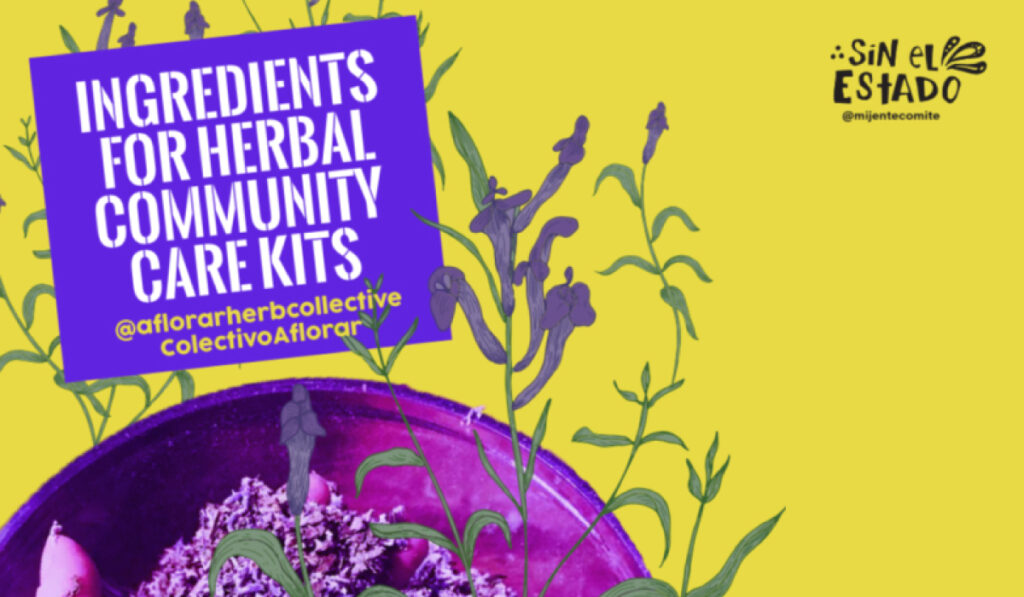 Ingredients for Herbal Community Care Kits